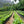 Load image into Gallery viewer, Guatemala El Amate y Anexos | Press Coffee Roasters
